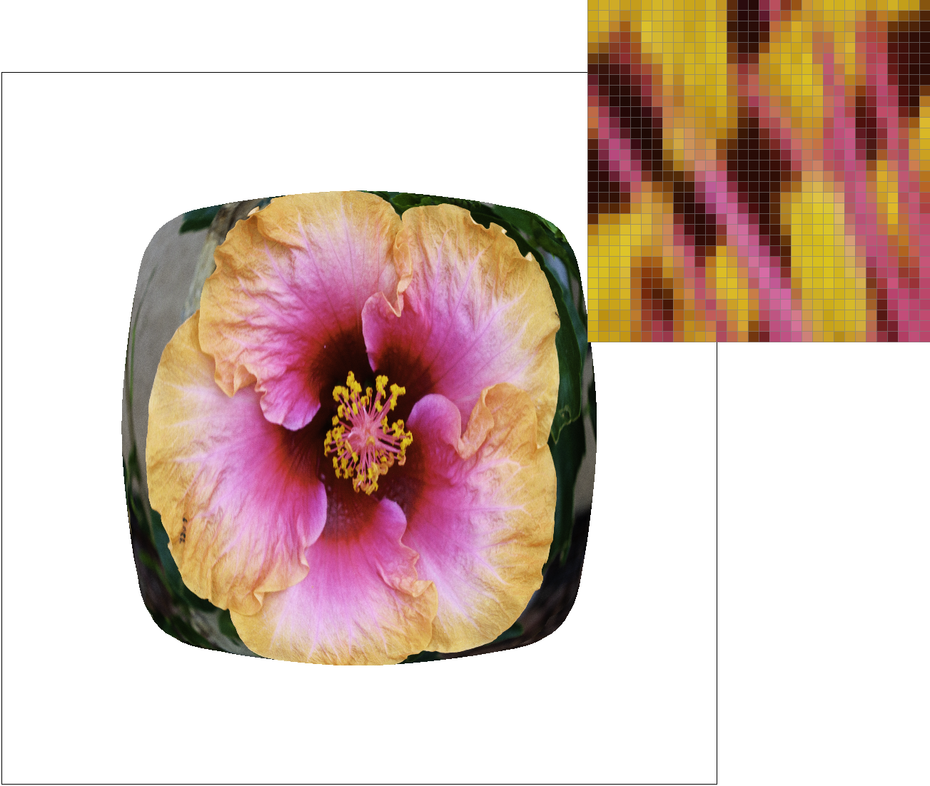 Task 6 Level 0 Nearest Pixel Filtering